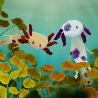 The Axolotls