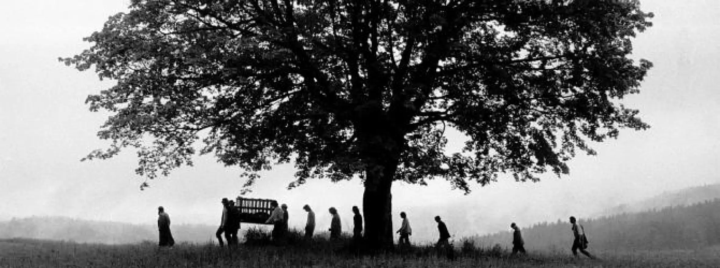 The Way through the Bleak Woods