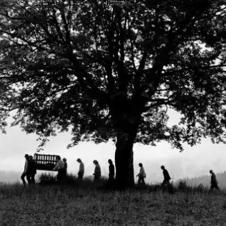 The Way through the Bleak Woods